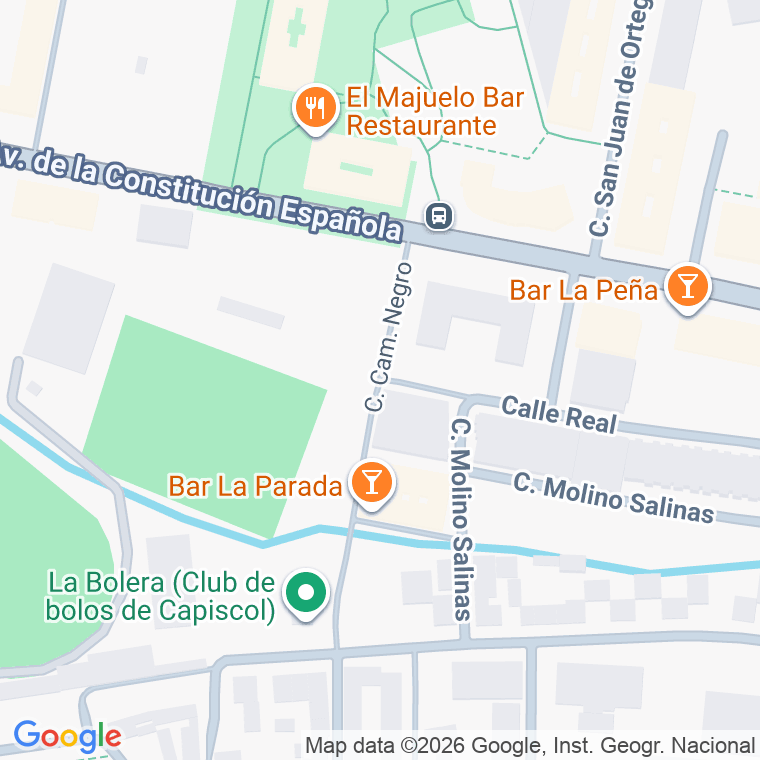Código postal de Camino Negro en Burgos