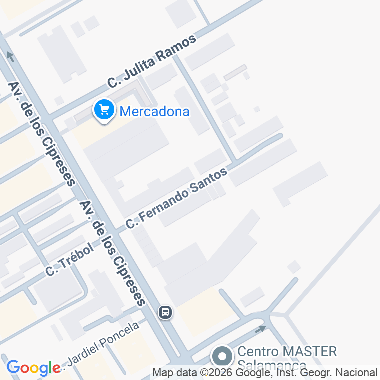 Código postal de Calle Fernando Santos en Salamanca